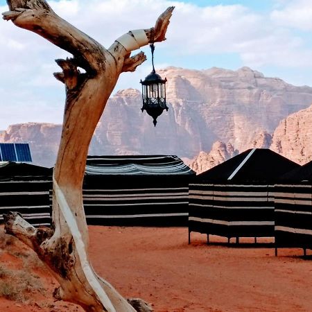 וואדי רם Desert Tree Camp&Tours מראה חיצוני תמונה